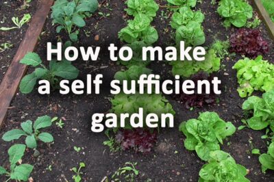 Grow Your Own – Urban Gardening Supplies for Self-Sufficiency Prepping