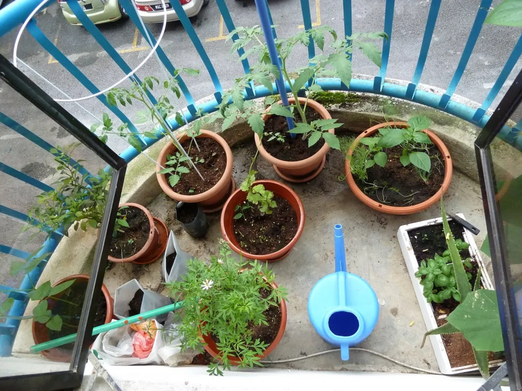 Urban Gardening Kits for Preppers